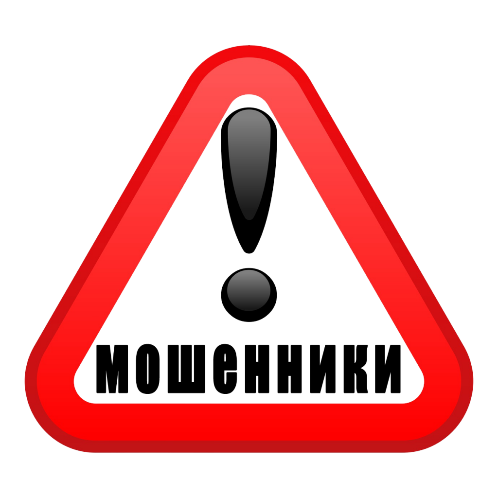 News_6445_7818 (1).png