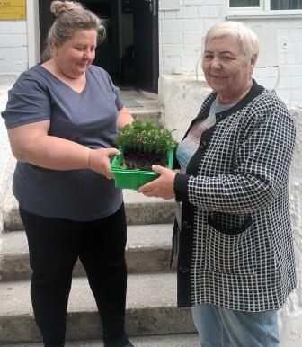 "Социальный огород"